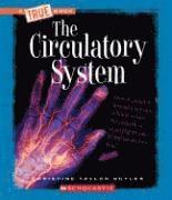 The Circulatory System 1