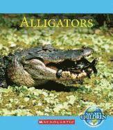 bokomslag Alligators