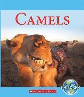 bokomslag Camels