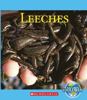 bokomslag Leeches (Nature's Children)