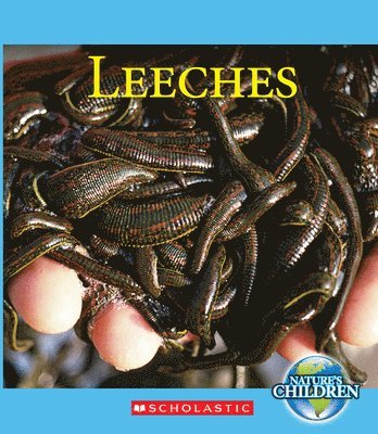 Leeches (Nature's Children) 1