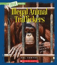 bokomslag Illegal Animal Traffickers (a True Book: The New Criminals) (Library Edition)