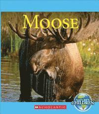 bokomslag Moose