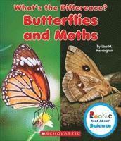 bokomslag Butterflies & Moths