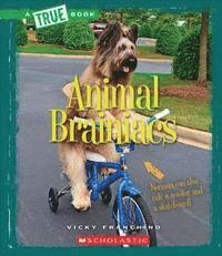 Animal Brainiacs 1