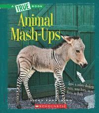 bokomslag Animal MASH-Ups