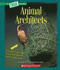 Animal Architects 1