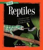 Reptiles (a True Book: Animal Kingdom) 1