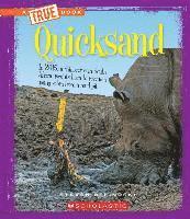 bokomslag Quicksand