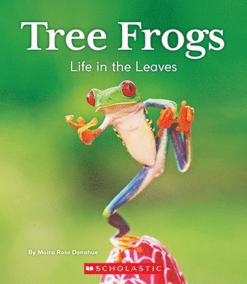 bokomslag Tree Frogs: Life in the Leaves (Nature's Children)
