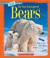 bokomslag Bears (A True Book: The Most Endangered)