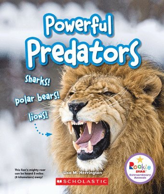 Powerful Predators: Sharks! Polar Bears! Lions! (Rookie Star: Extraordinary Animals) 1