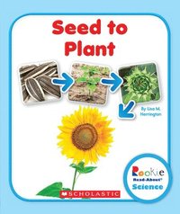 bokomslag Seed To Plant (Rookie Read-About Science: Life Cycles)