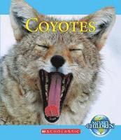 bokomslag Coyotes