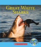 bokomslag Great White Sharks