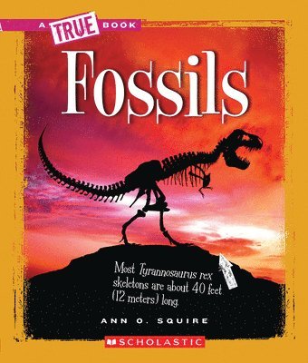 Fossils (A True Book: Earth Science) 1