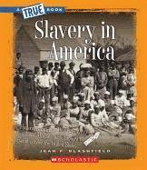 bokomslag Slavery in America