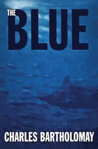 bokomslag THE BLUE