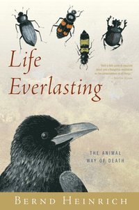 bokomslag Life Everlasting: The Animal Way of Death