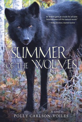 bokomslag Summer Of The Wolves