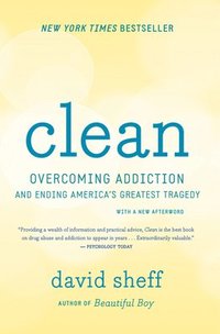 bokomslag Clean: Overcoming Addiction and Ending America's Greatest Tragedy