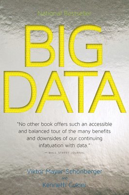 bokomslag Big Data