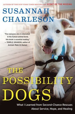 bokomslag The Possibility Dogs
