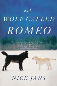 bokomslag Wolf Called Romeo