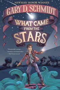bokomslag What Came from the Stars