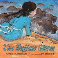 bokomslag Buffalo Storm