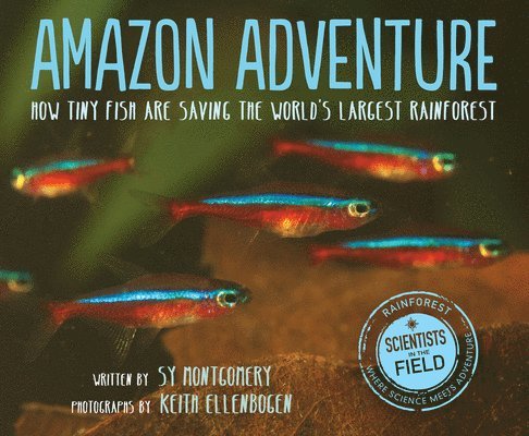 Amazon Adventure 1