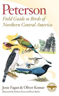 bokomslag Peterson Field Guide To Birds Of Northern Central America