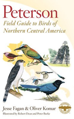 Peterson Field Guide To Birds Of Northern Central America 1