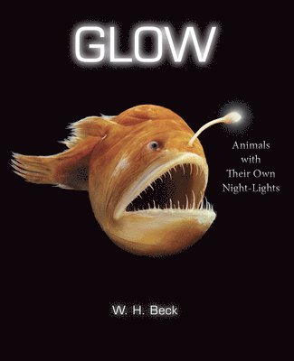 Glow 1