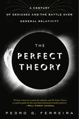 bokomslag The Perfect Theory