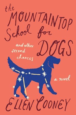 bokomslag Mountaintop School for Dogs and Other Second Chances