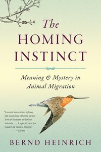 bokomslag The Homing Instinct: Meaning and Mystery in Animal Migration