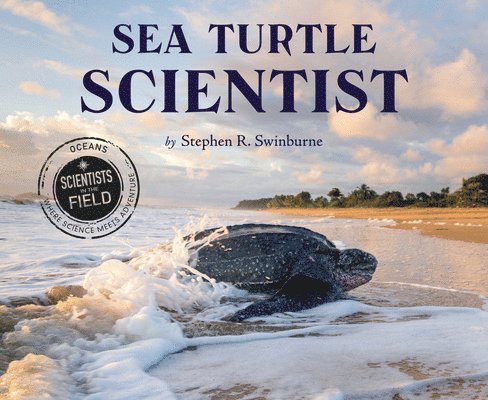 Sea Turtle Scientist 1