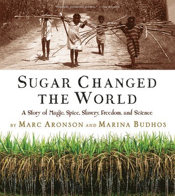 bokomslag Sugar Changed the World