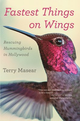 Terry Masear - Fastest Things on Wings: Rescuing Hummingbirds in Hollywood, Häftad