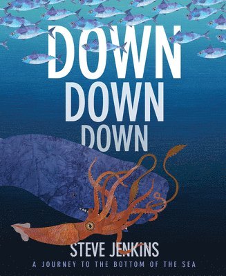 Steve Jenkins - Down, Down, Down: A Journey to the Bottom of the Sea, Häftad
