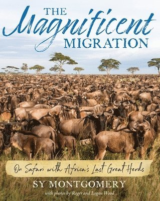 Sy Montgomery - The Magnificent Migration: On Safari with Africa's Last Great Herds, Inbunden