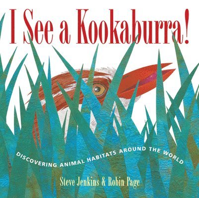 I See a Kookaburra!