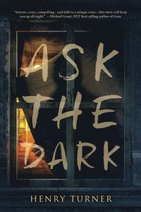 bokomslag Ask the Dark