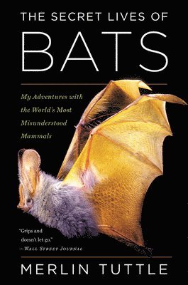 Merlin Tuttle - The Secret Lives of Bats: My Adventures with the World's Most Misunderstood Mammals, Häftad