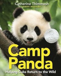 bokomslag Camp Panda: Helping Cubs Return to the Wild