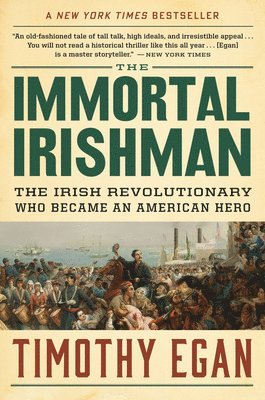 bokomslag Immortal Irishman