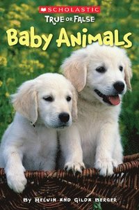 bokomslag Baby Animals (Scholastic True or False): Volume 1