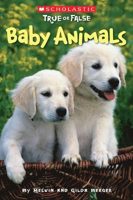 Baby Animals (Scholastic True or False): Volume 1 1