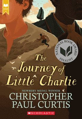 bokomslag The Journey of Little Charlie (Scholastic Gold)
